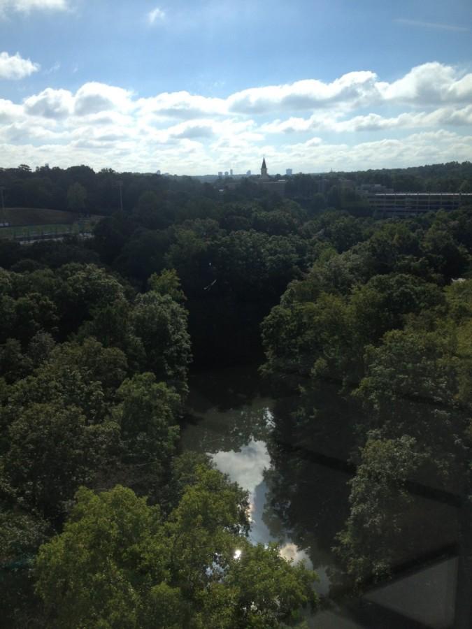 The view from the eleventh floor is sweeping: a lake below, beautiful trees around, and the Buckhead skyline in the distance. 