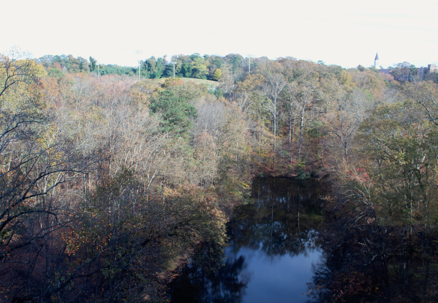 North Atlantas lake reflects Atlantas blue sky and provides inspiring scenery for the students in our 11 story building. 