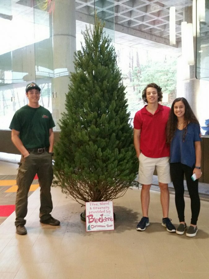 The Livaditis siblings – John, Class of 2015, Lucas, senior, and Anastasia, freshman – are part of a longstanding tradition of Big John’s Christmas trees at North Atlanta High School. 