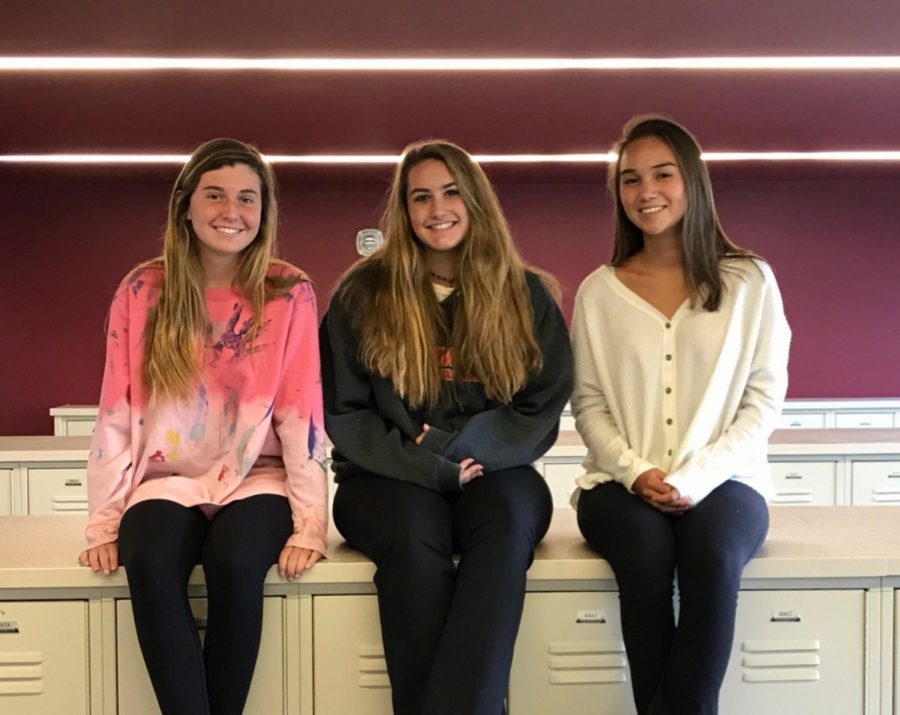 Public Life: Sophomore Eve Smith and freshmen Libby Carroll and Ava Tomlin adjust to life from private to public school in NAHS. 
