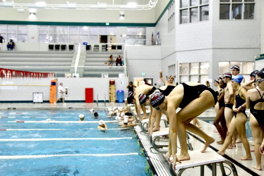 Just Keep Swimming: The NAHS Swim Team takes a dive towards victory. 
