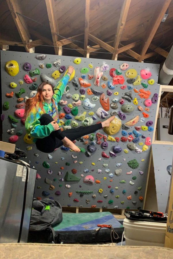 Super Staycation: Junior Helen Stephens spent her spring break creating a rock climbing wall in her house.