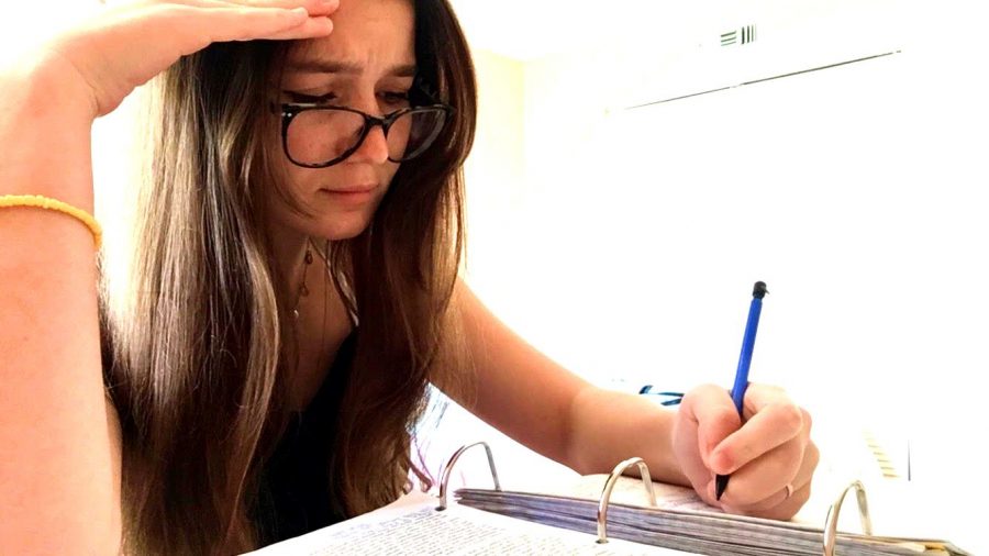 Testing Times: Along with many of her rising junior peers, sophomore Anna Greer is struggling with the new at-home testing structure for the 2020 AP exams. 
