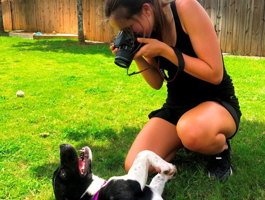 Canine Contributions: Junior Mady Mertens is one of many IB pathway students who are still finding ways to complete their service hours obligations in the face of pandemic-related logistical challenges. For her service, Mertens is volunteering her photography skills for the Human Society.  
