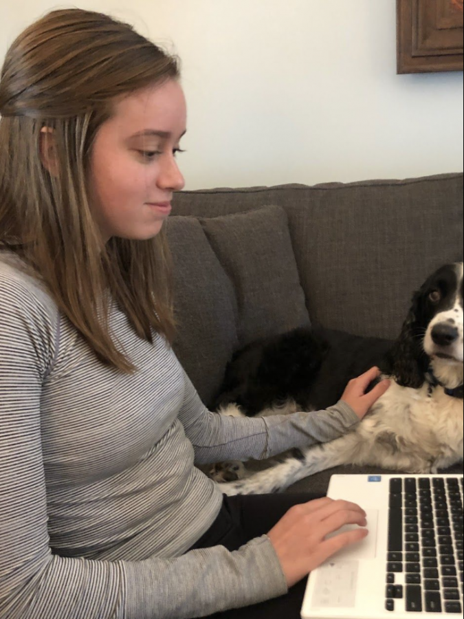 My dog has really been helping me out with the stress of a full course load of AP classes, said Sophomore Sophie Haines.