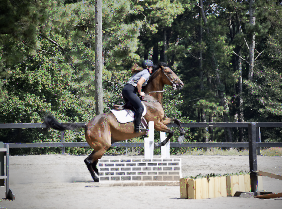 Saddle+Up%3A+North+Atlantas+equestrian+tandem+of+seniors+Shobini+Palaniappan+and+Sydney+Heaton+are+getting+ready+for+the+upcoming+competition+season.