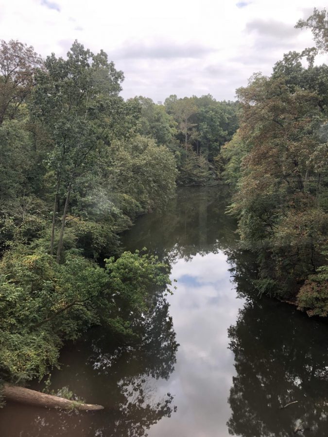 Murky Waters: North Atlantas once idyllic and turtle-filled pond is now dirty and polluted. Hopefully these Warrior waters (and the students above) see better days soon.