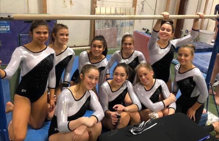 Gymnastics season up in the air: Funding for the gymnastics program has hindered the usually smooth-sailing season. While most of the gymnasts pictured above have graduated, new gymnasts Dubs hope to continue the program. 