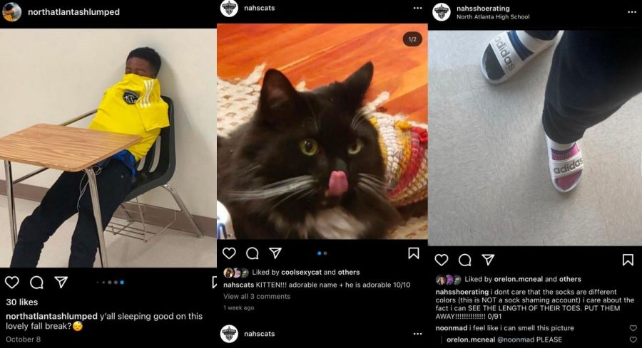 Caught Sleeping: Students sleeping in school, beloved family cats and even questionable footwear decisions are all ripe for the ribbing on themed NAHS-based Instagram pages. 

