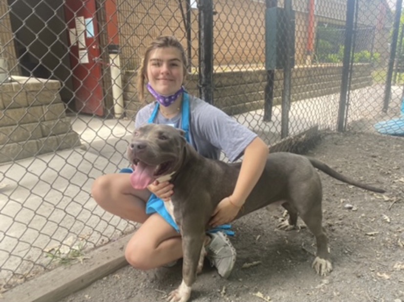 Paw-some Project: Junior Marley Jones has helped potential pets at the Fulton County Animal Shelter find a doting home. 
