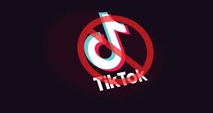 Social Media Clash: Recent efforts to ban TikTok spark controversy amongst teenagers worldwide. How do the Dubs feel about threats to the existence of a widely beloved app?