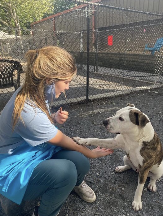 Marley Jones spends her time volunteering with pups and helping these friendly creatures find their forever homes. 