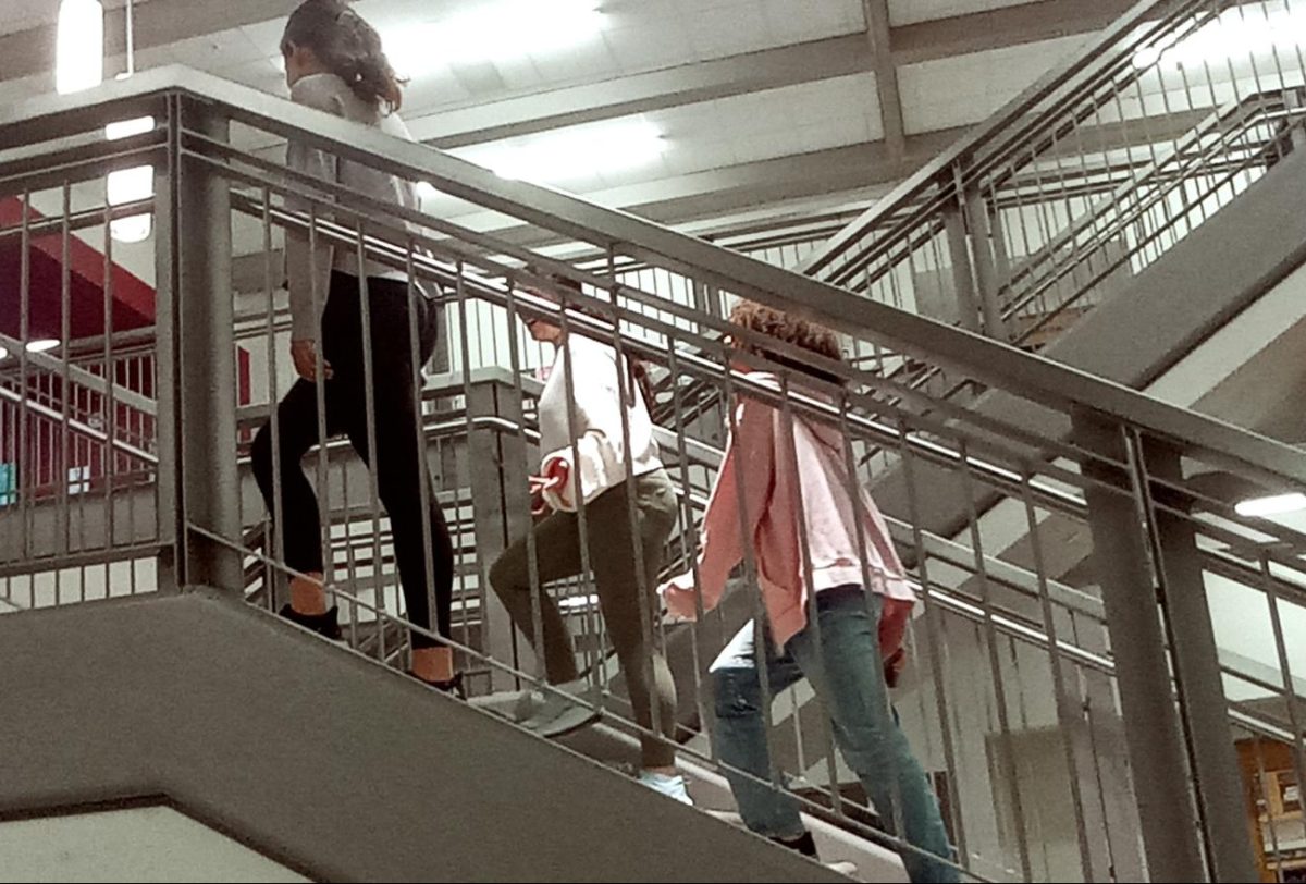 Stair Supremacy: Warriors exercise their legs and their freedom, breaking away from the elevator precedent. 