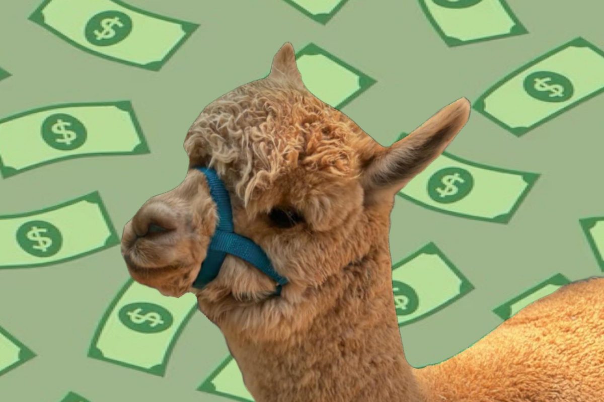 Billion Dolla Llama: Guess who encouraged hundreds of seniors to complete the FAFSA? This guy!
